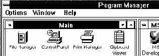   Microsoft Windows
