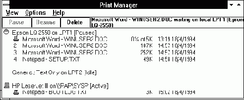   Microsoft Windows
