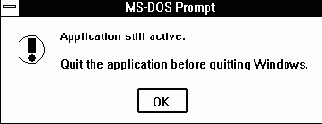   Microsoft Windows
