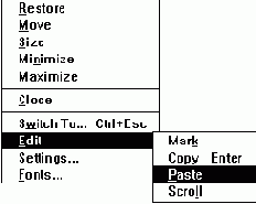   Microsoft Windows
