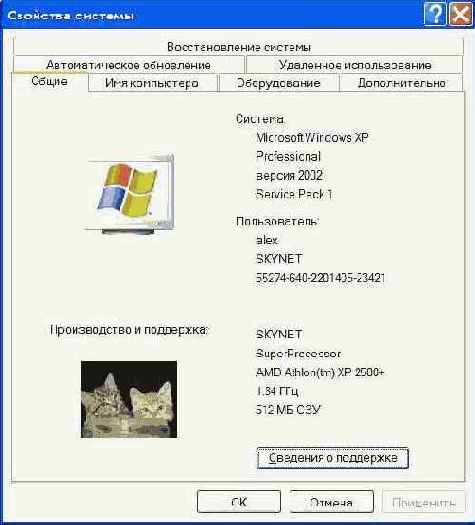   Windows
