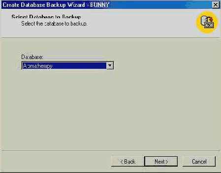   Microsoft SQL Server 2000
