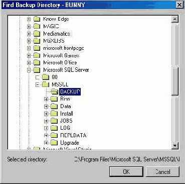   Microsoft SQL Server 2000
