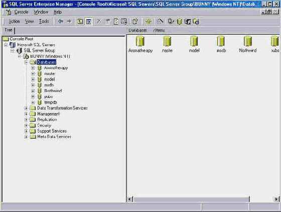   Microsoft SQL Server 2000
