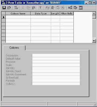   Microsoft SQL Server 2000
