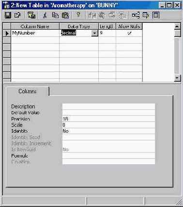   Microsoft SQL Server 2000
