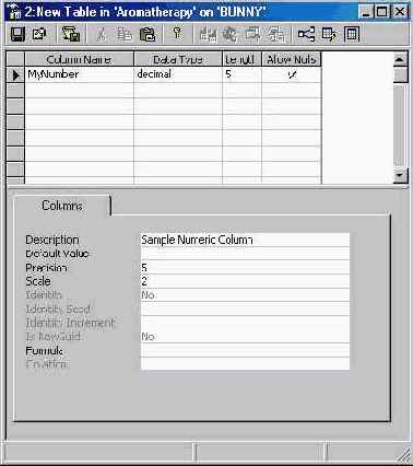   Microsoft SQL Server 2000

