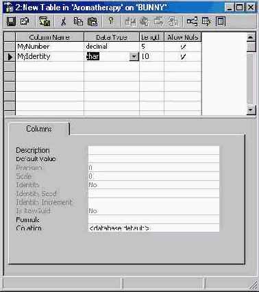   Microsoft SQL Server 2000
