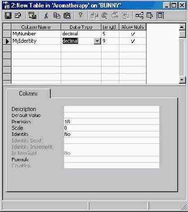  Microsoft SQL Server 2000
