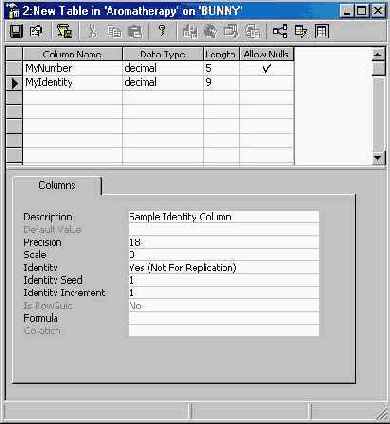   Microsoft SQL Server 2000
