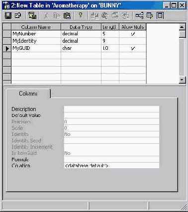   Microsoft SQL Server 2000
