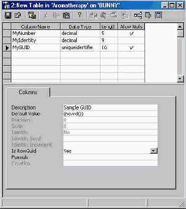   Microsoft SQL Server 2000
