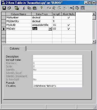   Microsoft SQL Server 2000
