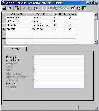   Microsoft SQL Server 2000
