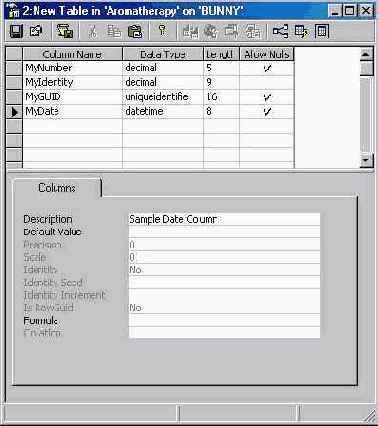  Microsoft SQL Server 2000
