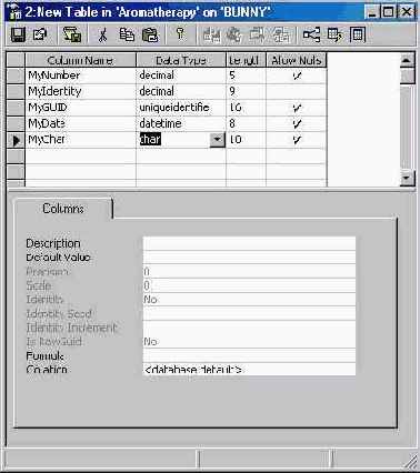   Microsoft SQL Server 2000
