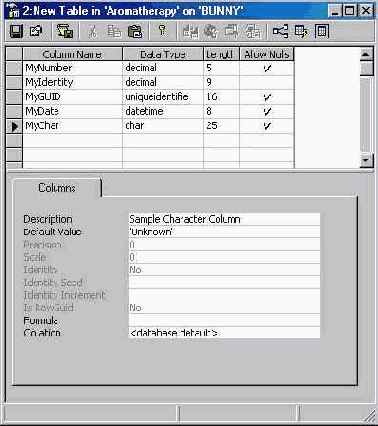   Microsoft SQL Server 2000
