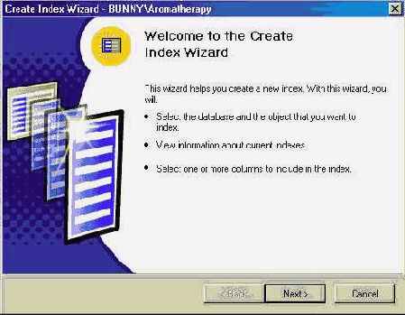   Microsoft SQL Server 2000
