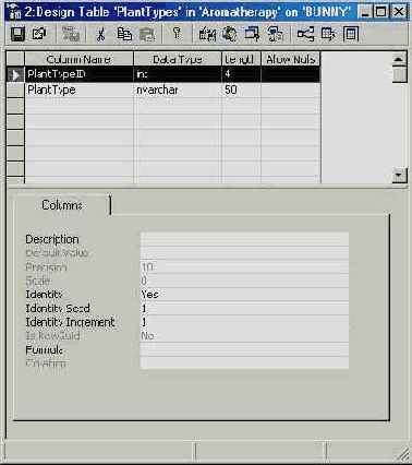  Microsoft SQL Server 2000
