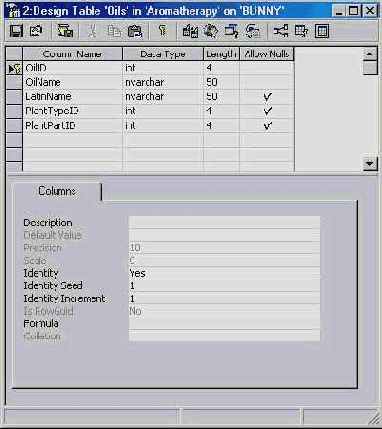 Программирование в Microsoft SQL Server 2000