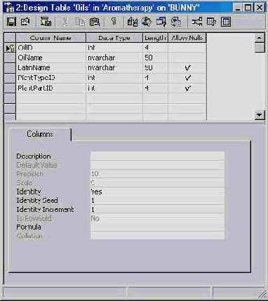 Программирование в Microsoft SQL Server 2000