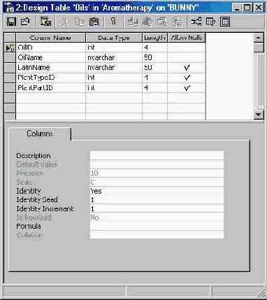 Программирование в Microsoft SQL Server 2000