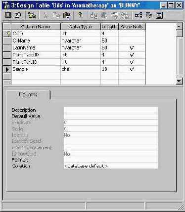 Программирование в Microsoft SQL Server 2000