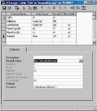 Программирование в Microsoft SQL Server 2000