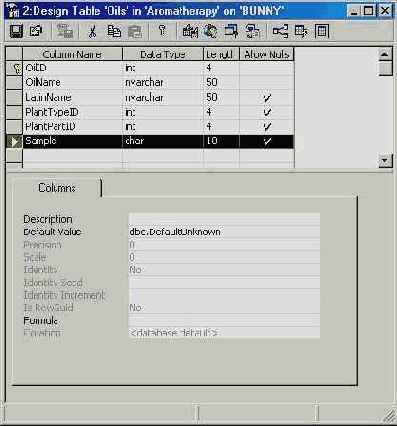 Программирование в Microsoft SQL Server 2000