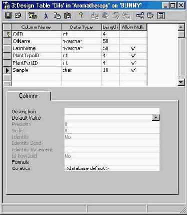 Программирование в Microsoft SQL Server 2000