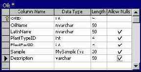 Программирование в Microsoft SQL Server 2000