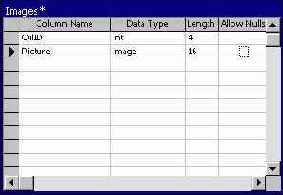 Программирование в Microsoft SQL Server 2000