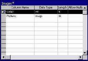 Программирование в Microsoft SQL Server 2000