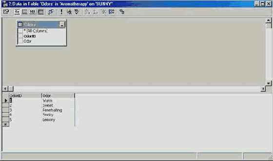 Программирование в Microsoft SQL Server 2000