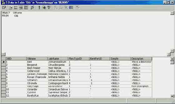 Программирование в Microsoft SQL Server 2000