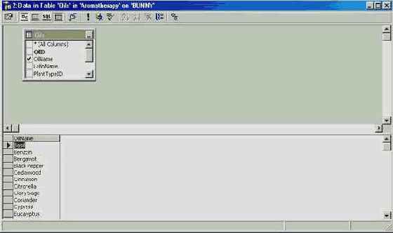 Программирование в Microsoft SQL Server 2000