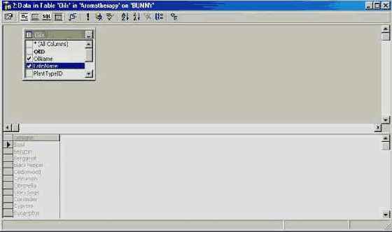 Программирование в Microsoft SQL Server 2000