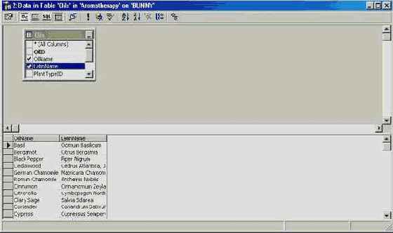 Программирование в Microsoft SQL Server 2000