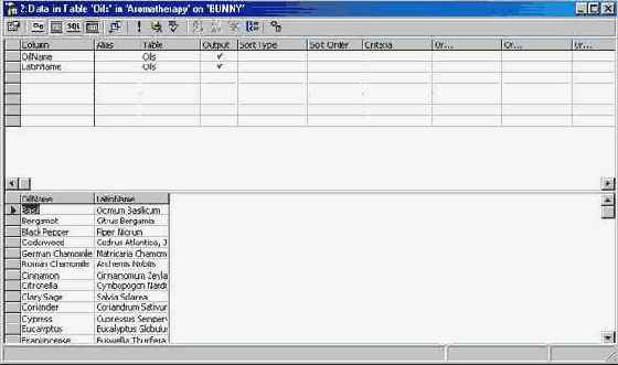 Программирование в Microsoft SQL Server 2000