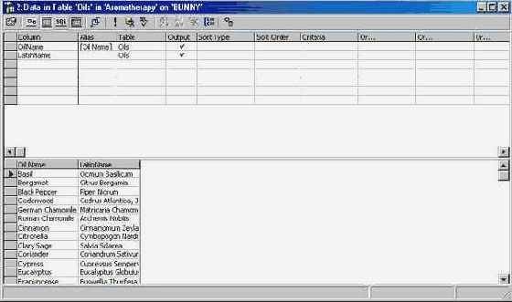 Программирование в Microsoft SQL Server 2000