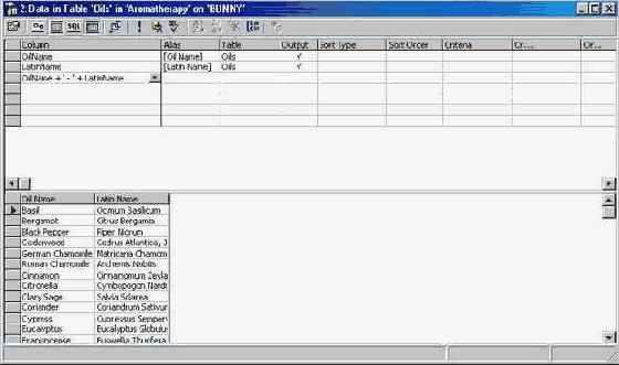 Программирование в Microsoft SQL Server 2000