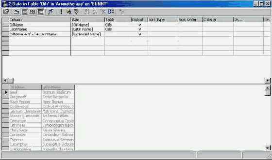 Программирование в Microsoft SQL Server 2000