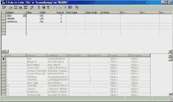 Программирование в Microsoft SQL Server 2000