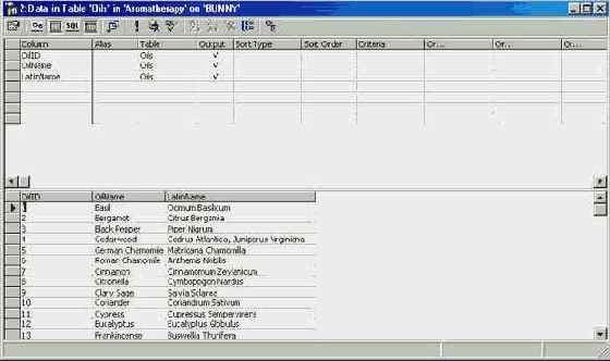 Программирование в Microsoft SQL Server 2000