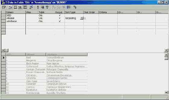 Программирование в Microsoft SQL Server 2000