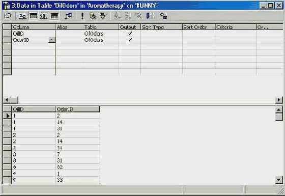 Программирование в Microsoft SQL Server 2000