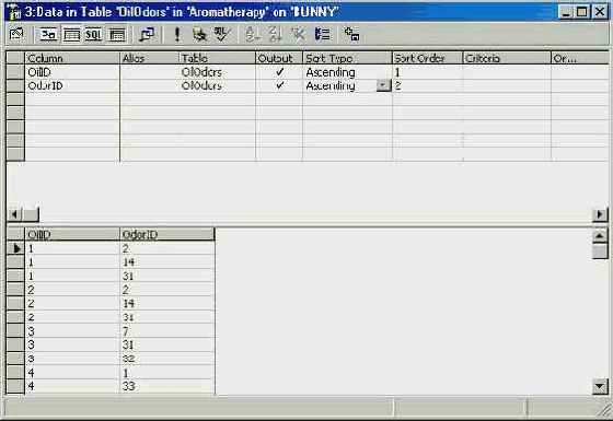 Программирование в Microsoft SQL Server 2000