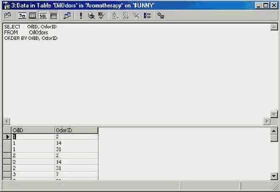 Программирование в Microsoft SQL Server 2000