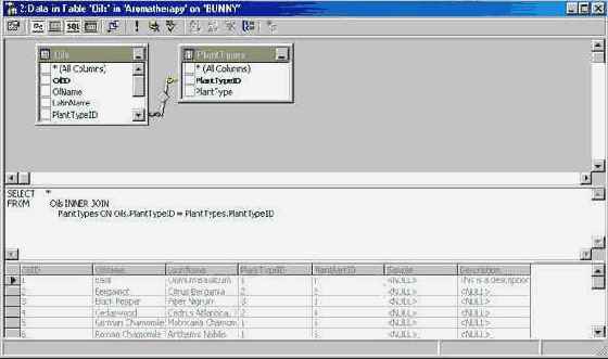 Программирование в Microsoft SQL Server 2000
