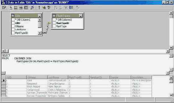 Программирование в Microsoft SQL Server 2000